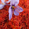 Saffron (Kesar Irani)
